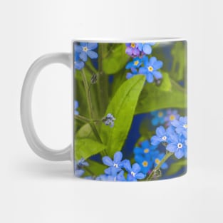 Forget-me-not, blue, tender flowers Mug